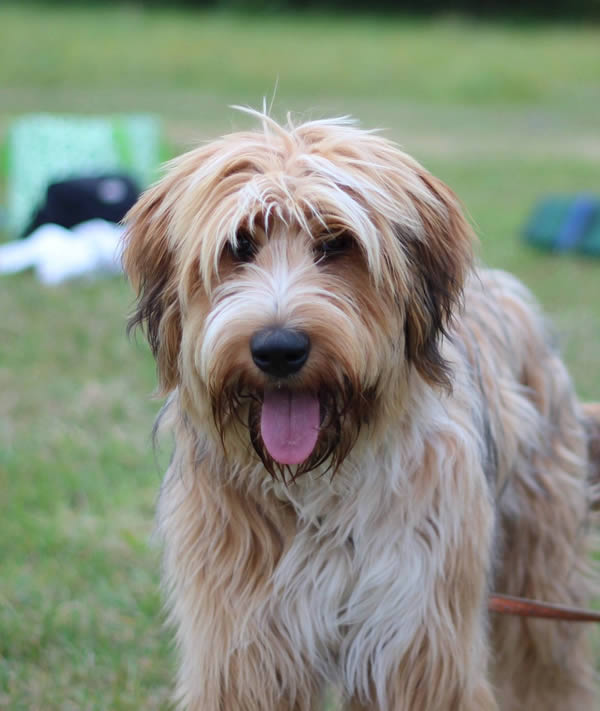 Wäller Portrait