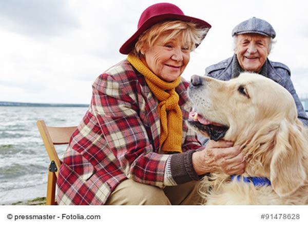 hunde sind beliebte begleiter von älteren menschen