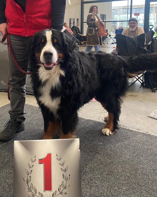 Champion Winni