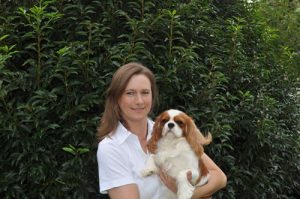 Cavalier King Charles Spaniel – Melrose