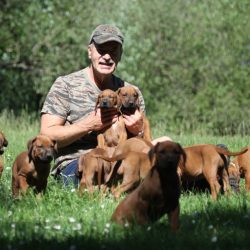 Rhodesian Ridgeback – UMVUMA