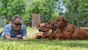 rhodesian-ridgeback huy´s