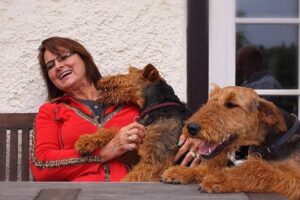 Airedale Terrier