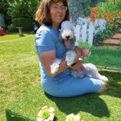 Bedlington Terrier Tiny’s Stern