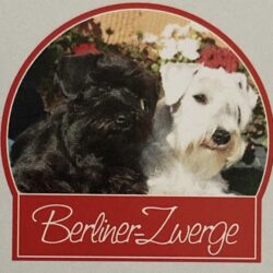 Berliner Zwerge