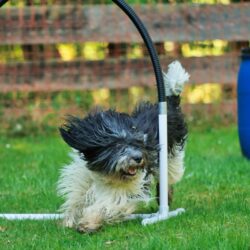 PON vom Donauparadies