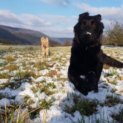 vom Wildweibchenstein