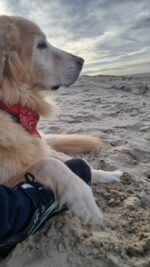 vom Wildweibchenstein vom Wildweibchenstein