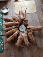 Kidogo Ajabu Kidogo Ajabu