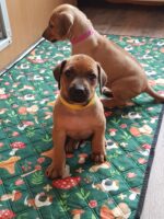 Kidogo Ajabu Kidogo Ajabu