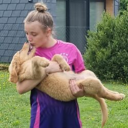 vom Wildweibchenstein