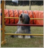 PON von Nora's Nizina