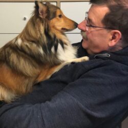 Sheltie Sheltie