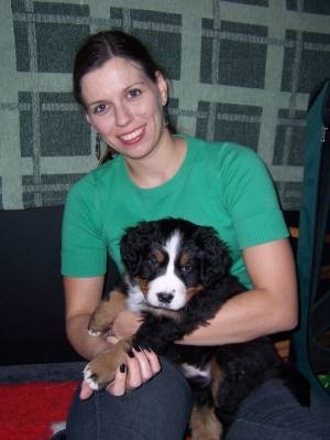 Berner Sennenhund Ronja