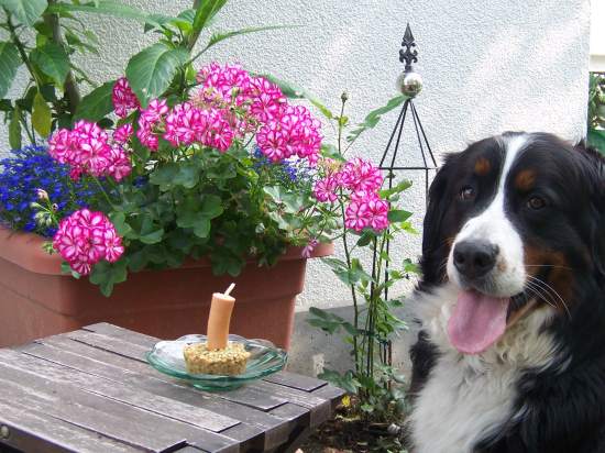 Geburtstag